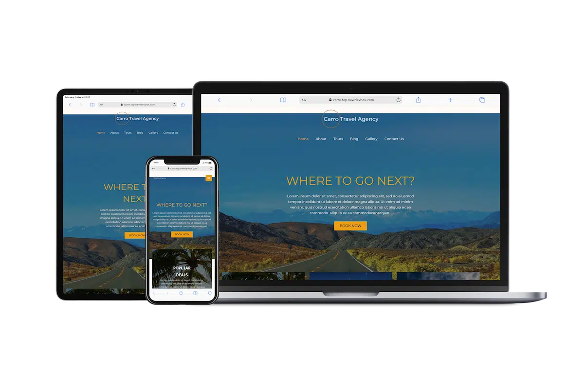 Custom website development