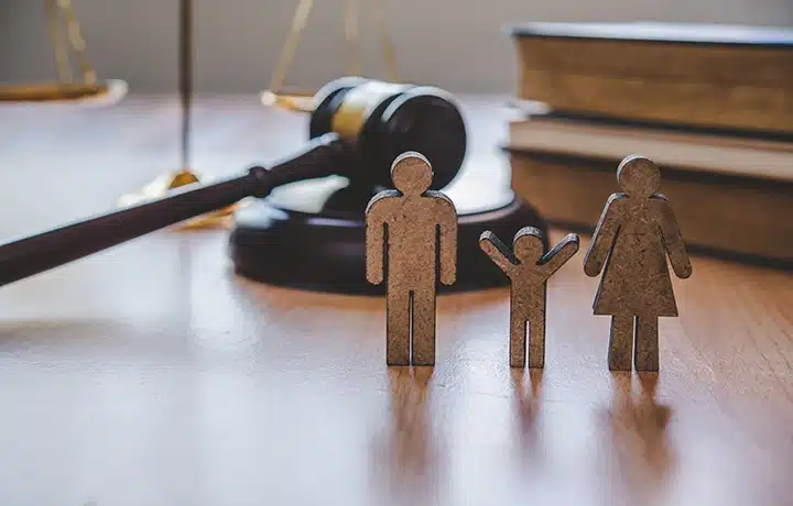 Digital Landscape for Family Law